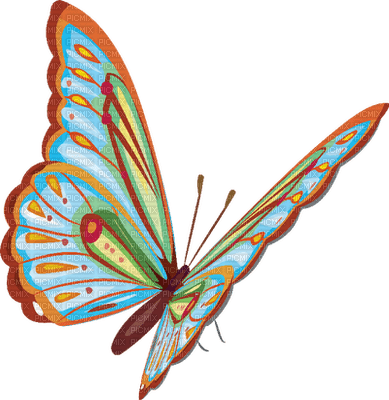 BUTTERFLY - δωρεάν png