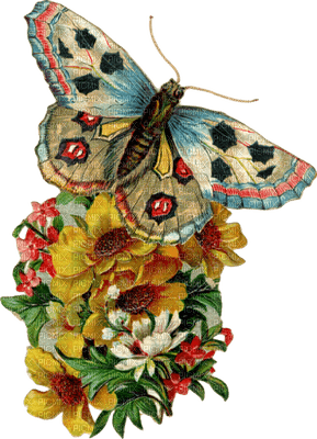 butterfly and flower - ücretsiz png