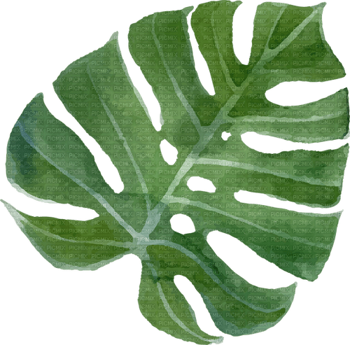 leaf Bb2 - безплатен png