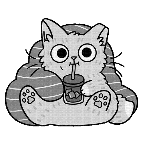 coffee cat - Gratis geanimeerde GIF
