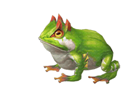 жаба - Δωρεάν κινούμενο GIF