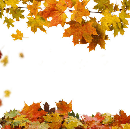 autumn automne herbst milla1959 - ilmainen png