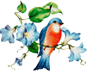 птица , декор - Free PNG