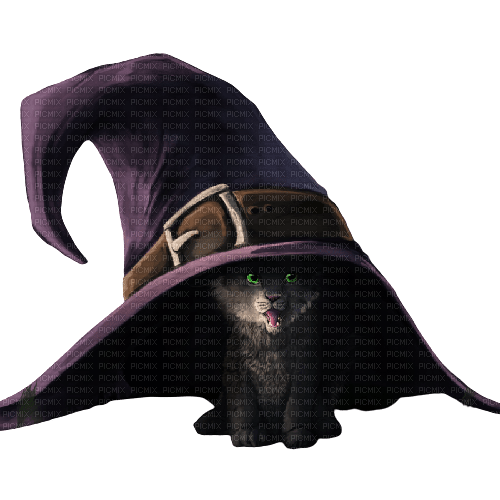 witch kitten - png gratuito