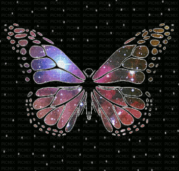 butterfly, colour , changing , butterfly , animated - Free animated GIF -  PicMix