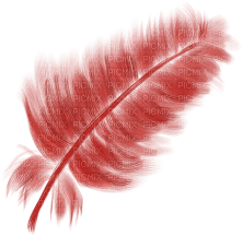 RED-feather-FJÄDER--MINOU52 - png ฟรี