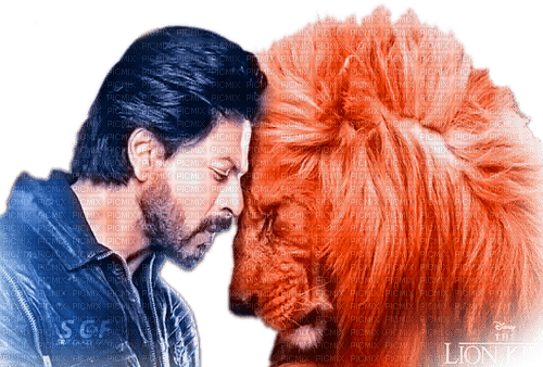 soave man Shahrukh Khan  bollywood lion animals - zadarmo png