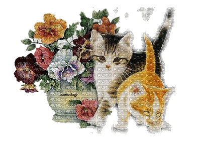 Gatti fiori - GIF animado gratis