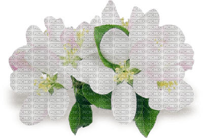 Kwiaty drzewo - Free PNG