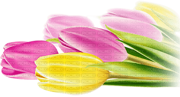 soave deco flowers spring tulips pink yellow green - png grátis