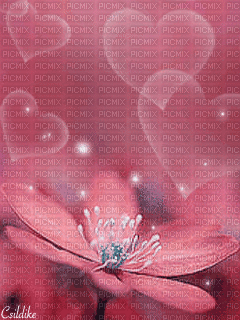 PINK FLOWER AND HEARTS GIF - Bezmaksas animēts GIF