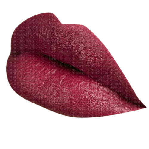 lèvres - png gratuito
