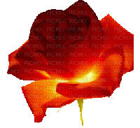 from me. red tinted roses - Gratis geanimeerde GIF
