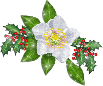 soave deco branch flowers branch holly white - безплатен png