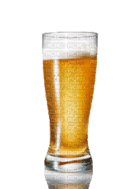 ani--öl--beer - 免费动画 GIF