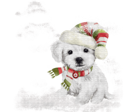 Kaz_Creations Dog Pup Christmas - png gratis
