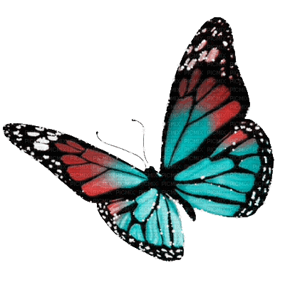 dolceluna spring animated butterfly - Gratis animerad GIF