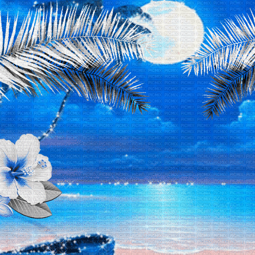 VE / BG.anim.summer.beach.tropical.blur.idca - Animovaný GIF zadarmo