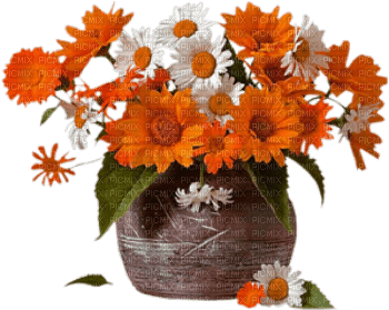 autumn flowers - gratis png