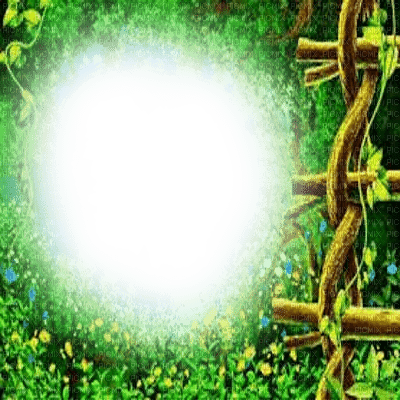 cadre vert frame green fantasy - gratis png
