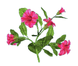 gif flores-l - 免费动画 GIF
