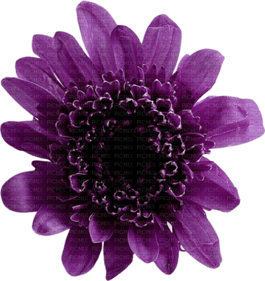 Kaz_Creations Purple Violet Scrap Deco Flower - nemokama png