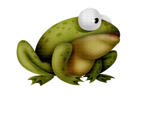Frog - zdarma png