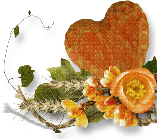 Orange.Flowers.Fleurs.Coeur.Victoriabea - PNG gratuit