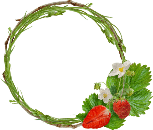 Strauberry.Frame.Circle.Cadre.Victoriabea - gratis png