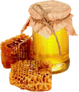 honey Bb2 - PNG gratuit