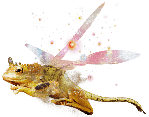 citrine dragonfly frog - zdarma png