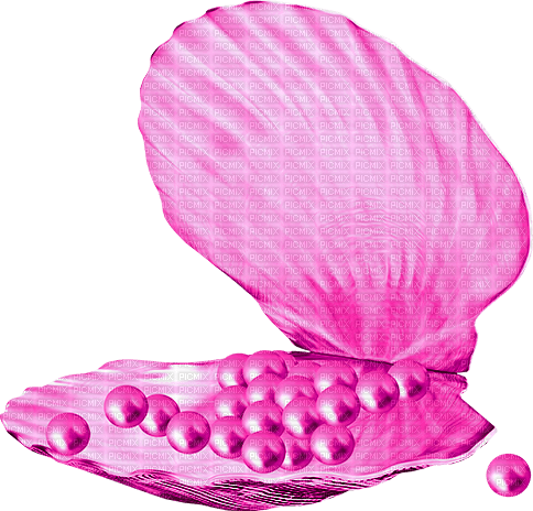 Seashell.Pearls.Pink - png ฟรี