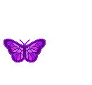 butterflies katrin - Bezmaksas animēts GIF