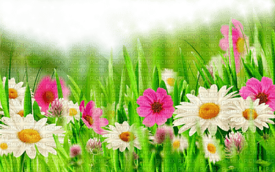 spring printemps frühling primavera весна wiosna tube deco flower fleur blossom bloom blüte fleurs blumen  garden jardin grass fond - бесплатно png