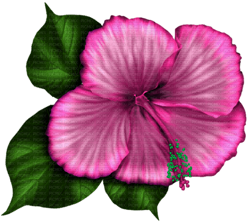 Tropical.Flower.Pink - nemokama png