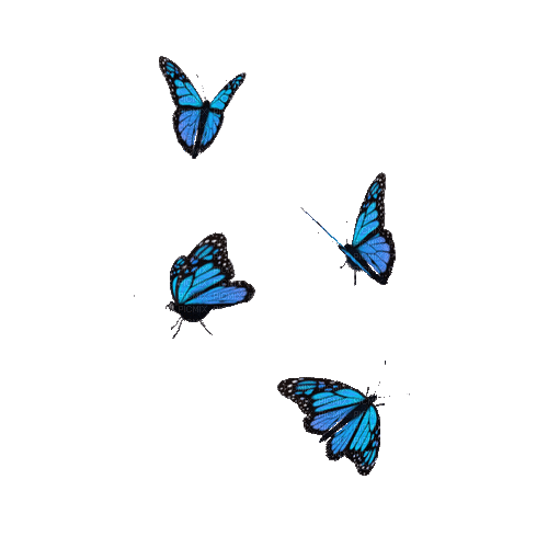 blue butterflies - GIF animasi gratis