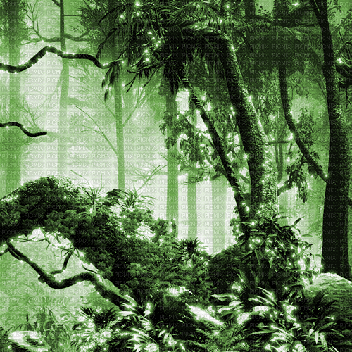 Y.A.M._Fantasy forest background green - Δωρεάν κινούμενο GIF
