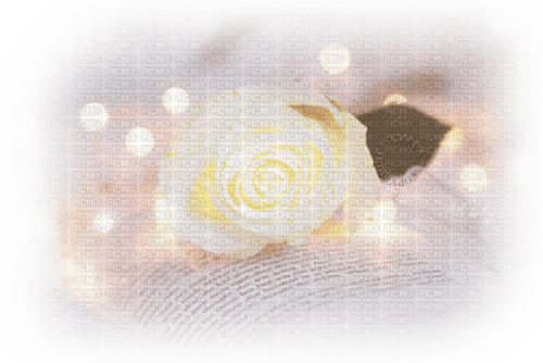 Lichtvolle Rose - Free PNG