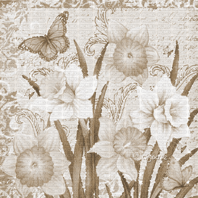 soave background animated  flowers daffodils - Kostenlose animierte GIFs