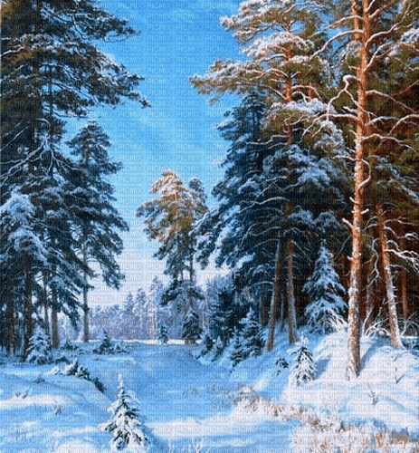 Rena Winter Background Hintergrund Forest Wald - bezmaksas png