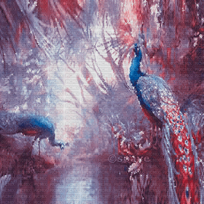 soave background animated peacock forest water - 免费动画 GIF