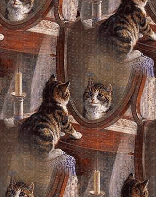 mirror image bp - Ilmainen animoitu GIF