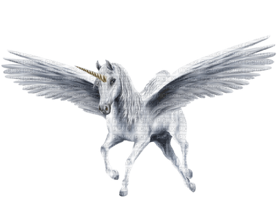 unicorn winged bp - nemokama png