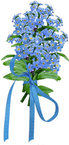 fleur blue, Adam64 - besplatni png