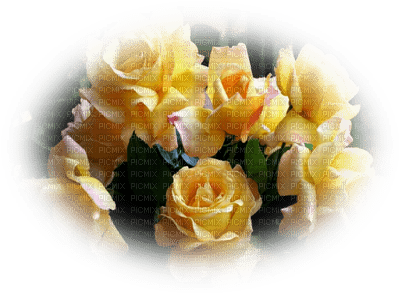 patymirabelle fleurs - png gratuito