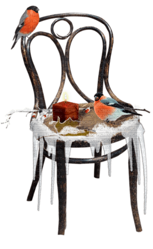 hiver oiseaux - nemokama png