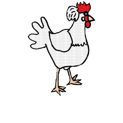 Chicken - GIF animé gratuit