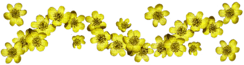 FLORES - 免费PNG