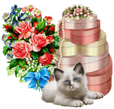Kaz_Creations Cats Cat Kittens Kitten Flowers Gifts - gratis png