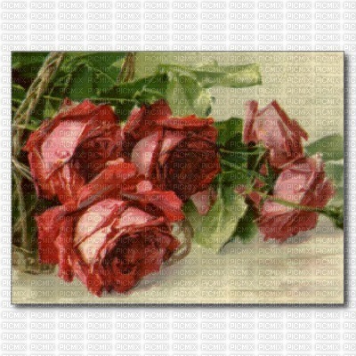 Vintage Roses - bezmaksas png